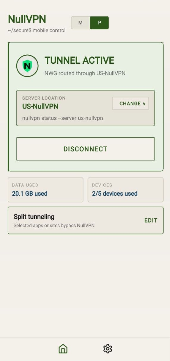 NullVPN Android app in Paper theme showing an active tunnel